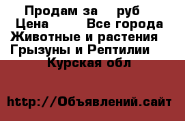 Продам за 50 руб. › Цена ­ 50 - Все города Животные и растения » Грызуны и Рептилии   . Курская обл.